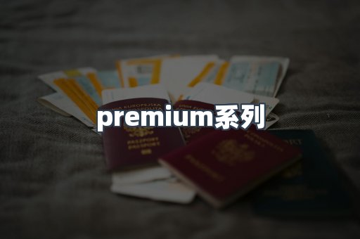 premium系列